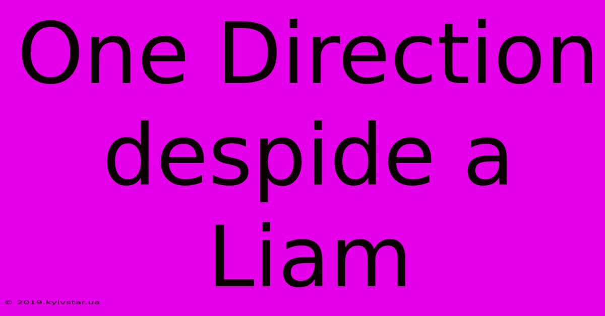 One Direction Despide A Liam