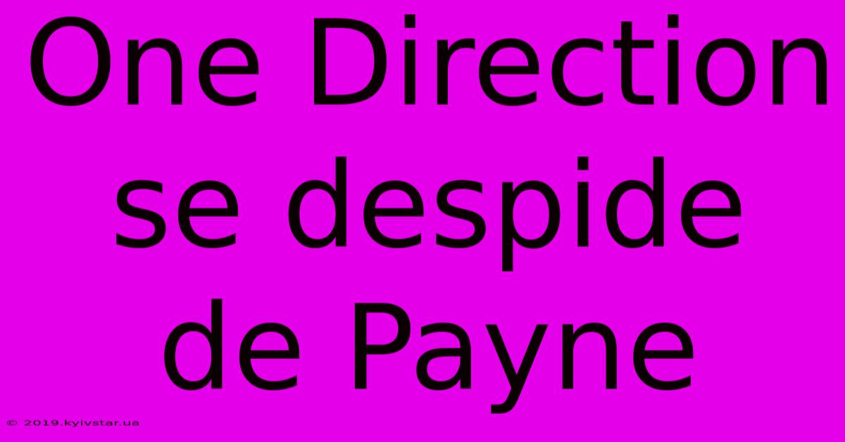 One Direction Se Despide De Payne