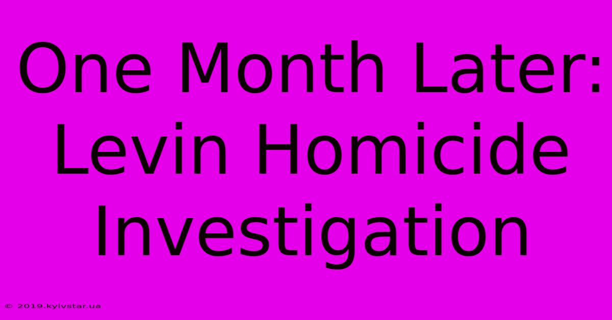 One Month Later: Levin Homicide Investigation