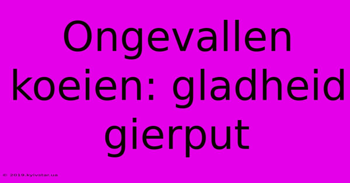 Ongevallen Koeien: Gladheid Gierput