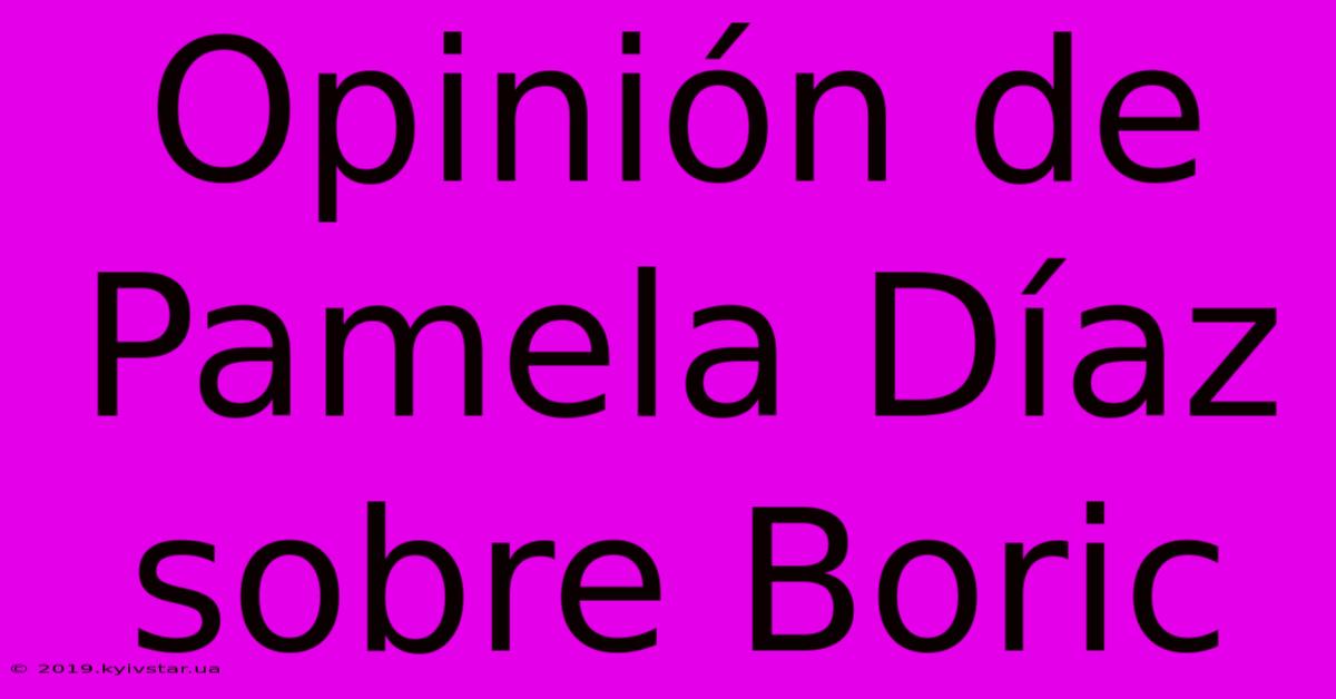 Opinión De Pamela Díaz Sobre Boric