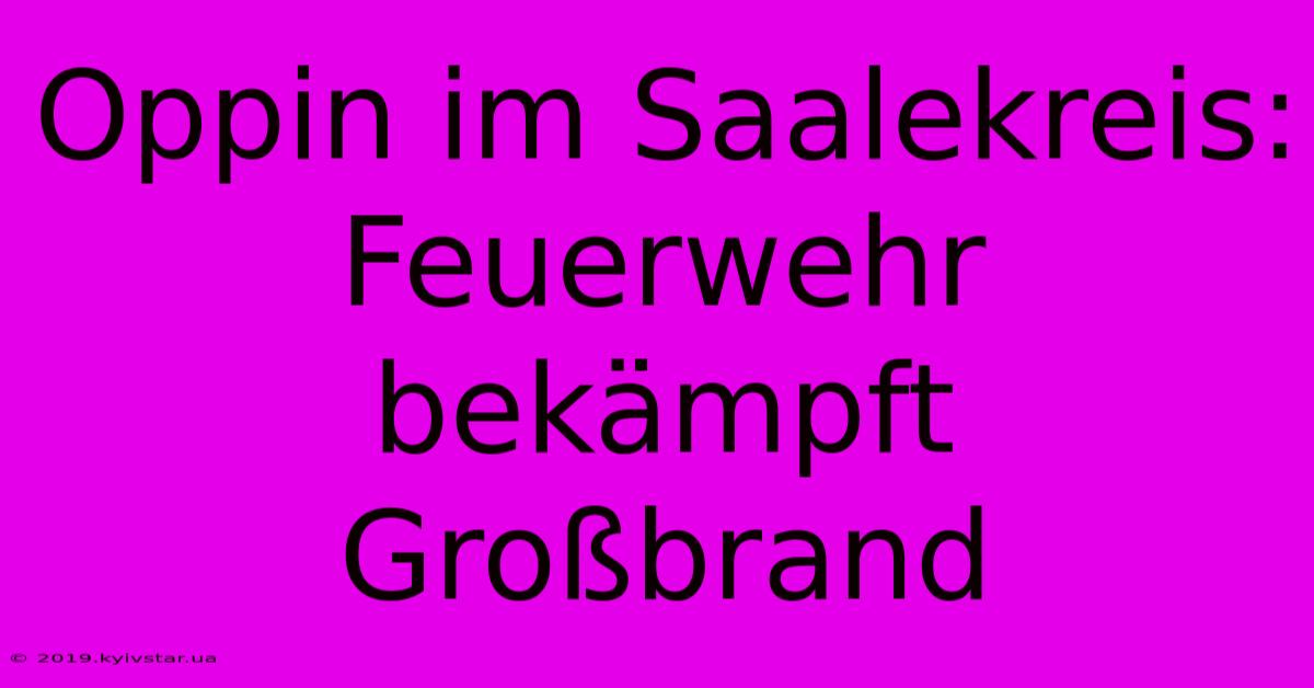 Oppin Im Saalekreis: Feuerwehr Bekämpft Großbrand