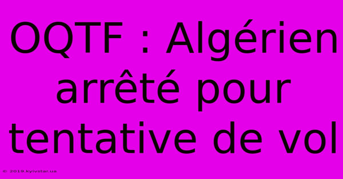 OQTF : Algérien Arrêté Pour Tentative De Vol 