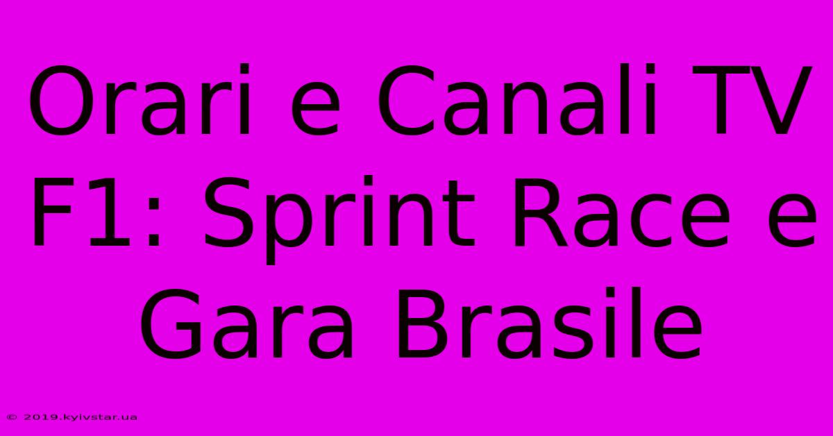 Orari E Canali TV F1: Sprint Race E Gara Brasile 