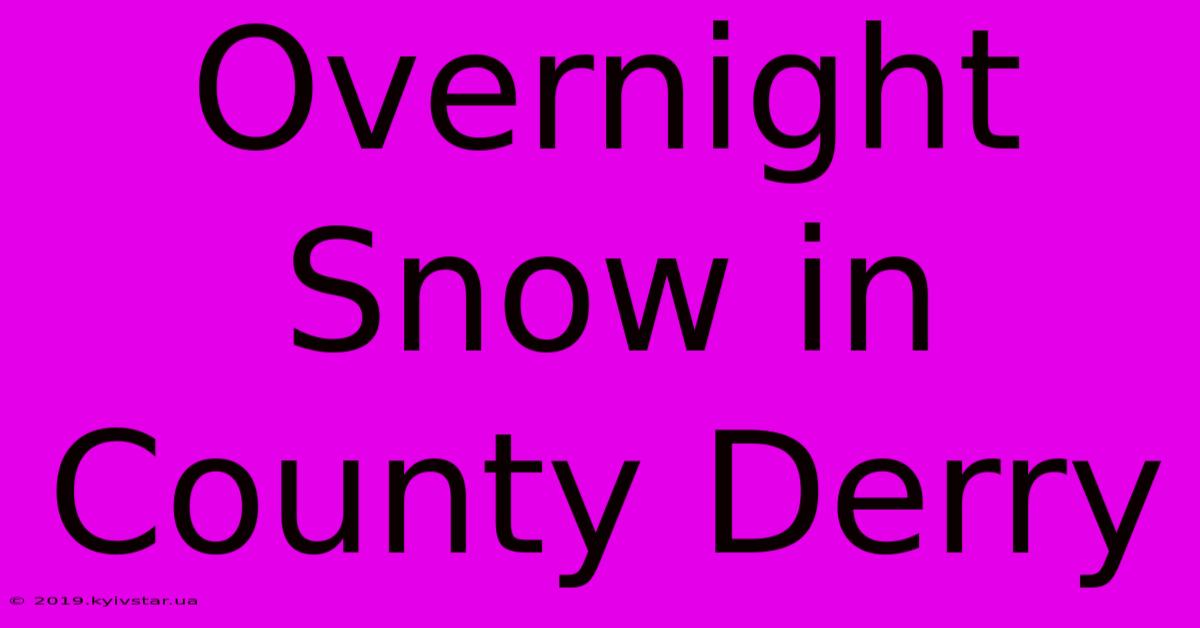 Overnight Snow In County Derry