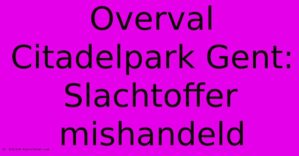 Overval Citadelpark Gent: Slachtoffer Mishandeld