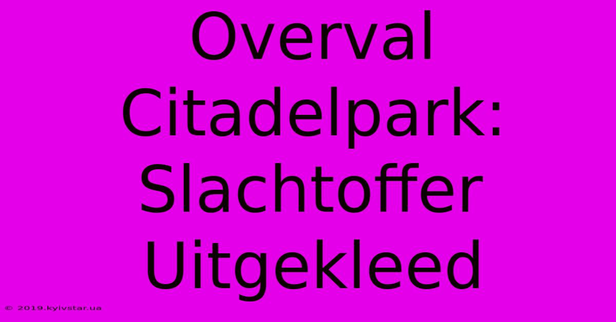 Overval Citadelpark: Slachtoffer Uitgekleed