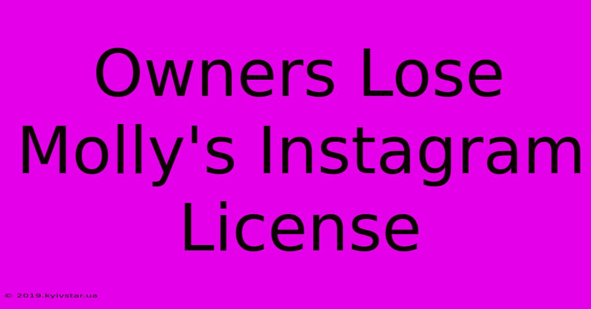 Owners Lose Molly's Instagram License