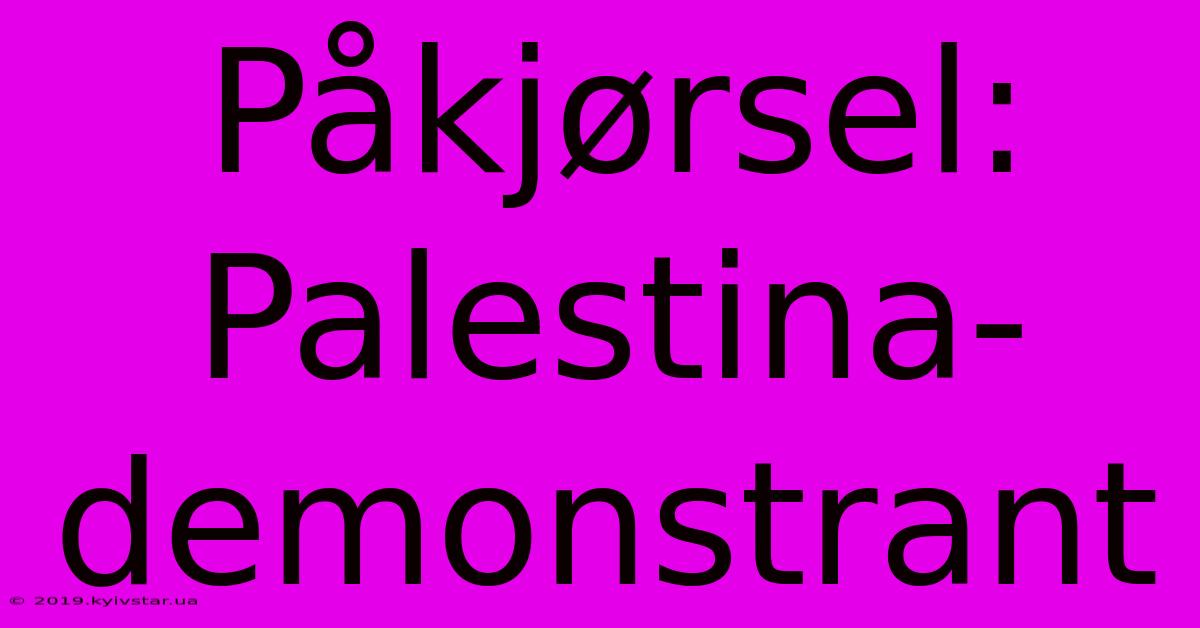 Påkjørsel: Palestina-demonstrant