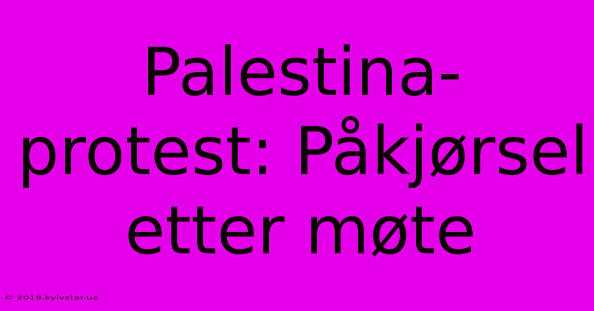 Palestina-protest: Påkjørsel Etter Møte