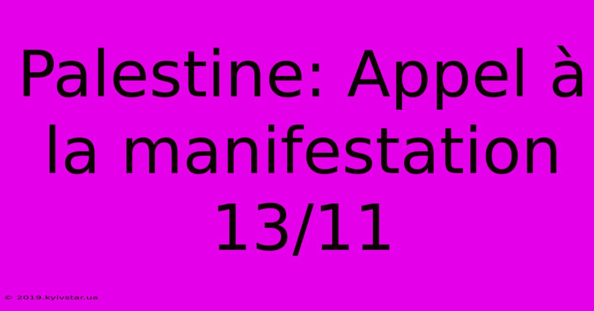 Palestine: Appel À La Manifestation 13/11