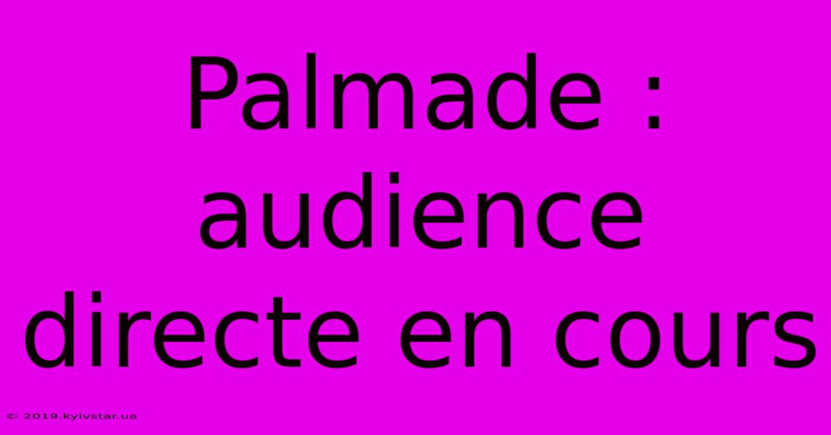 Palmade : Audience Directe En Cours