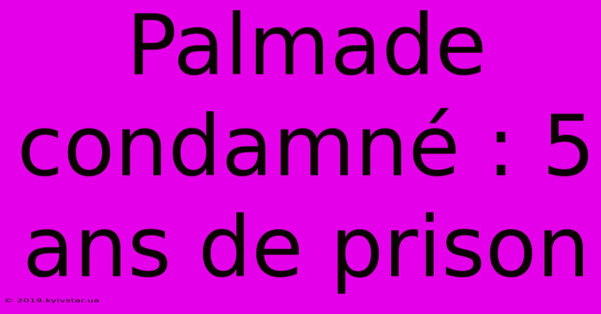 Palmade Condamné : 5 Ans De Prison