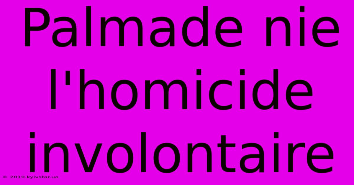 Palmade Nie L'homicide Involontaire