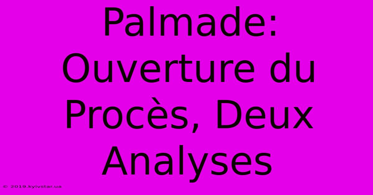 Palmade: Ouverture Du Procès, Deux Analyses