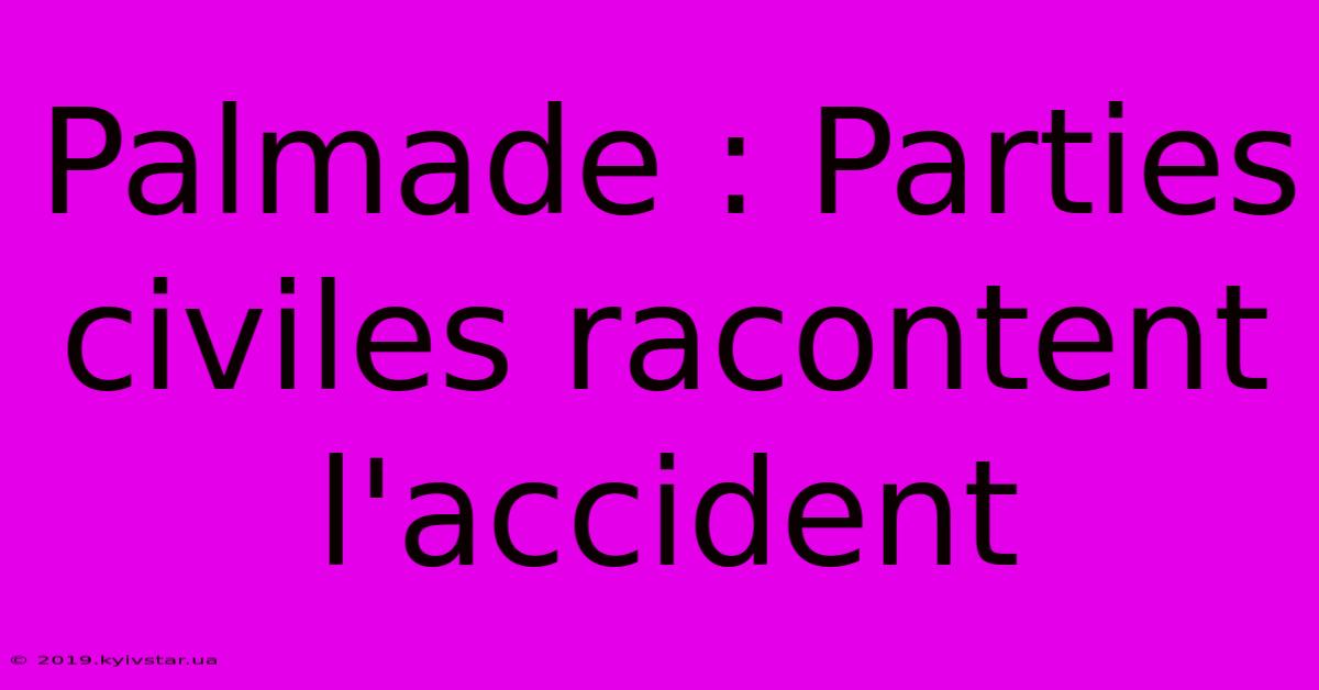 Palmade : Parties Civiles Racontent L'accident