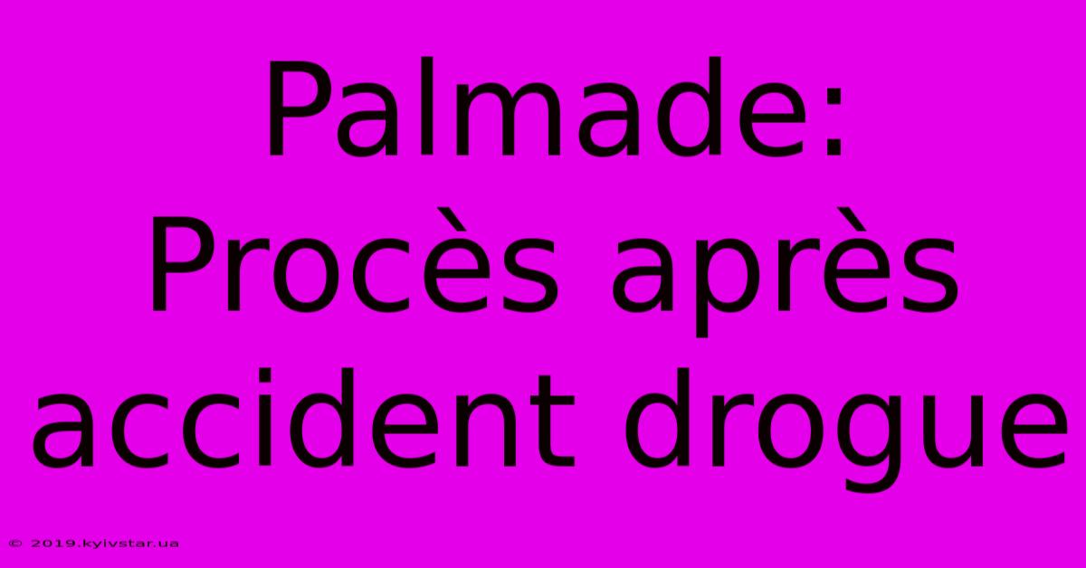 Palmade: Procès Après Accident Drogue