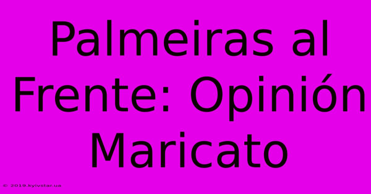 Palmeiras Al Frente: Opinión Maricato