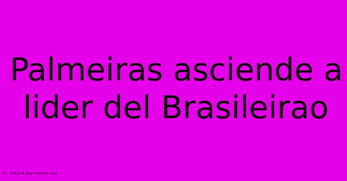 Palmeiras Asciende A Lider Del Brasileirao