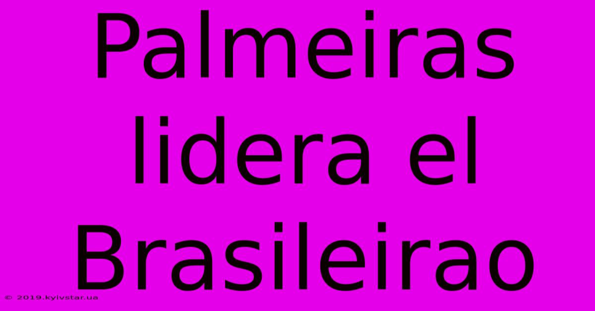 Palmeiras Lidera El Brasileirao