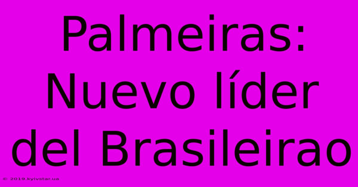 Palmeiras: Nuevo Líder Del Brasileirao