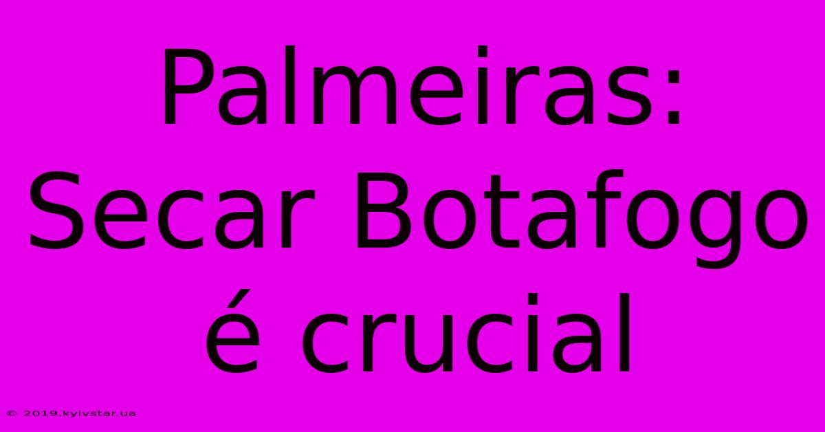 Palmeiras: Secar Botafogo É Crucial