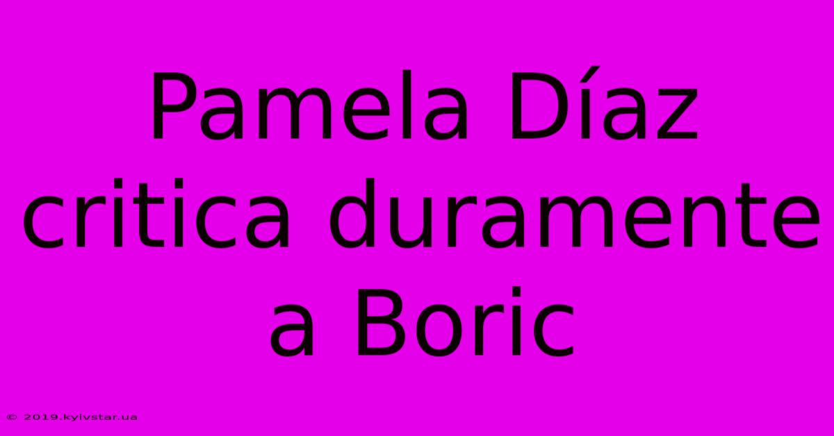 Pamela Díaz Critica Duramente A Boric