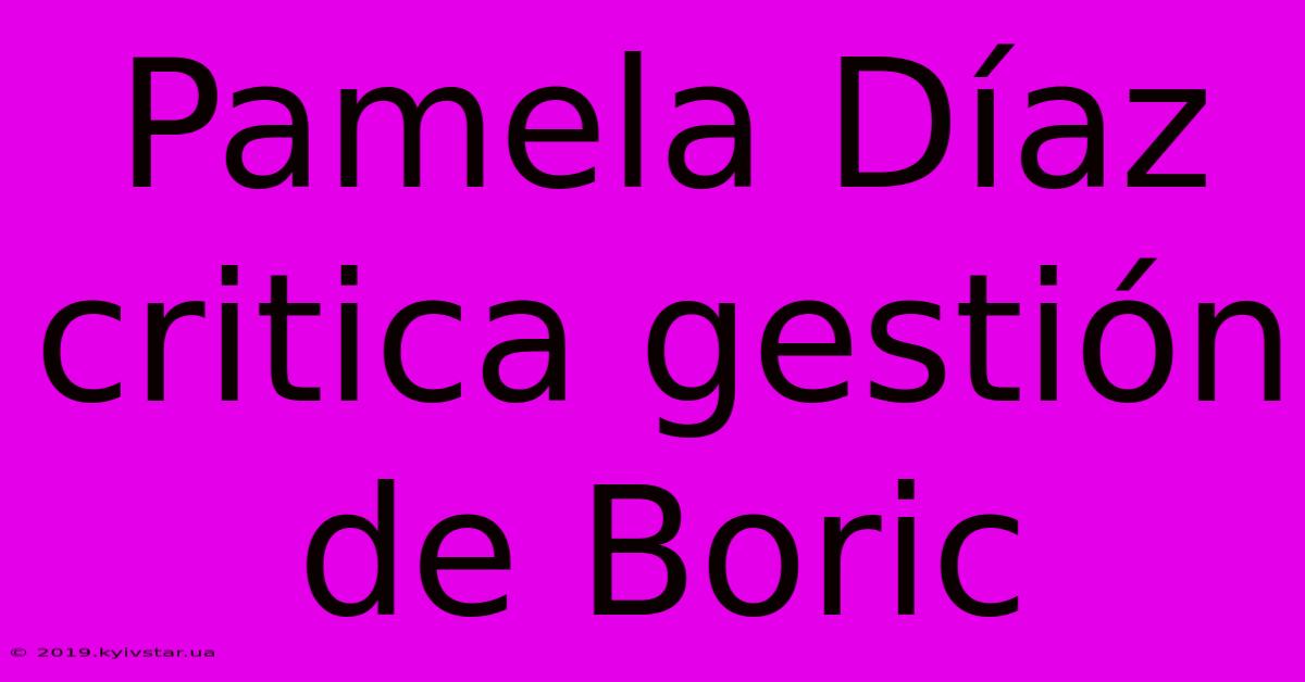 Pamela Díaz Critica Gestión De Boric