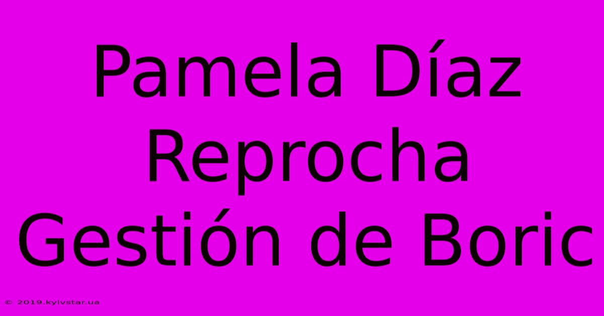 Pamela Díaz Reprocha Gestión De Boric 