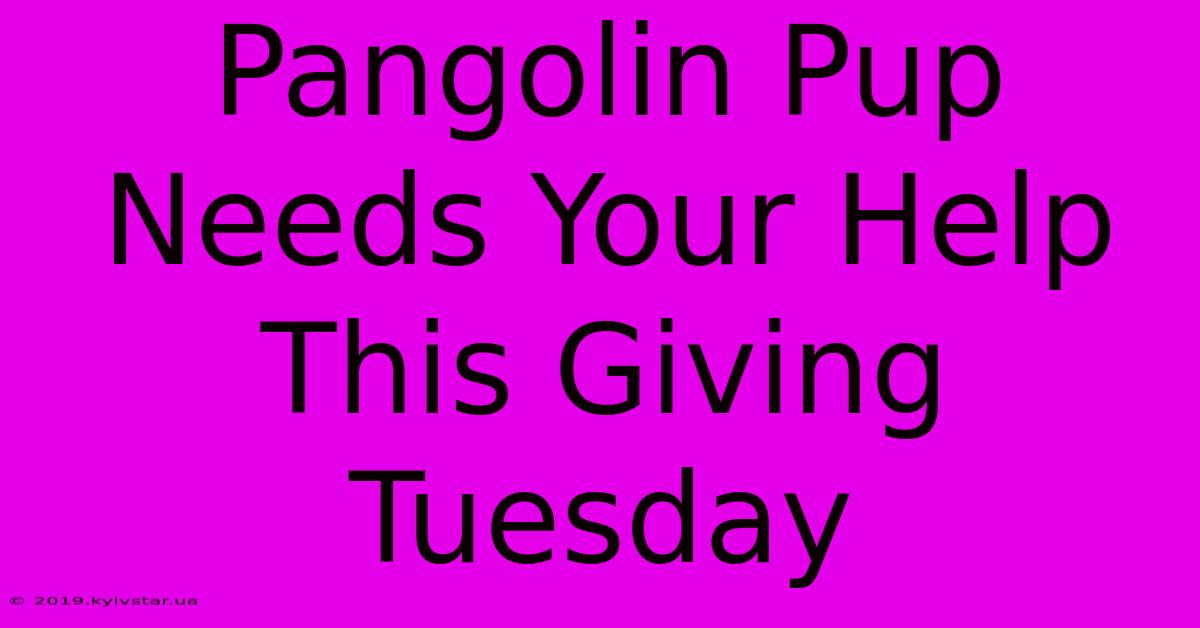 Pangolin Pup Needs Your Help This Giving Tuesday 