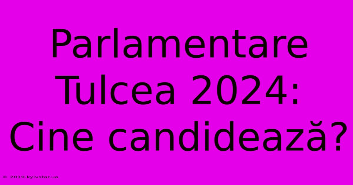 Parlamentare Tulcea 2024: Cine Candidează?