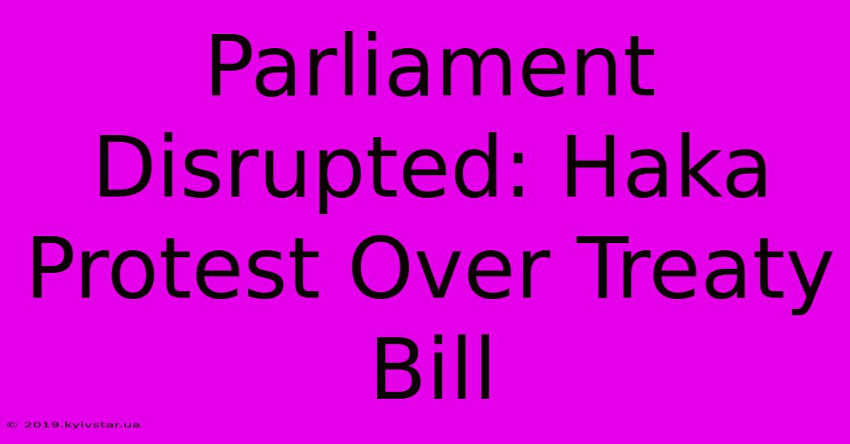 Parliament Disrupted: Haka Protest Over Treaty Bill