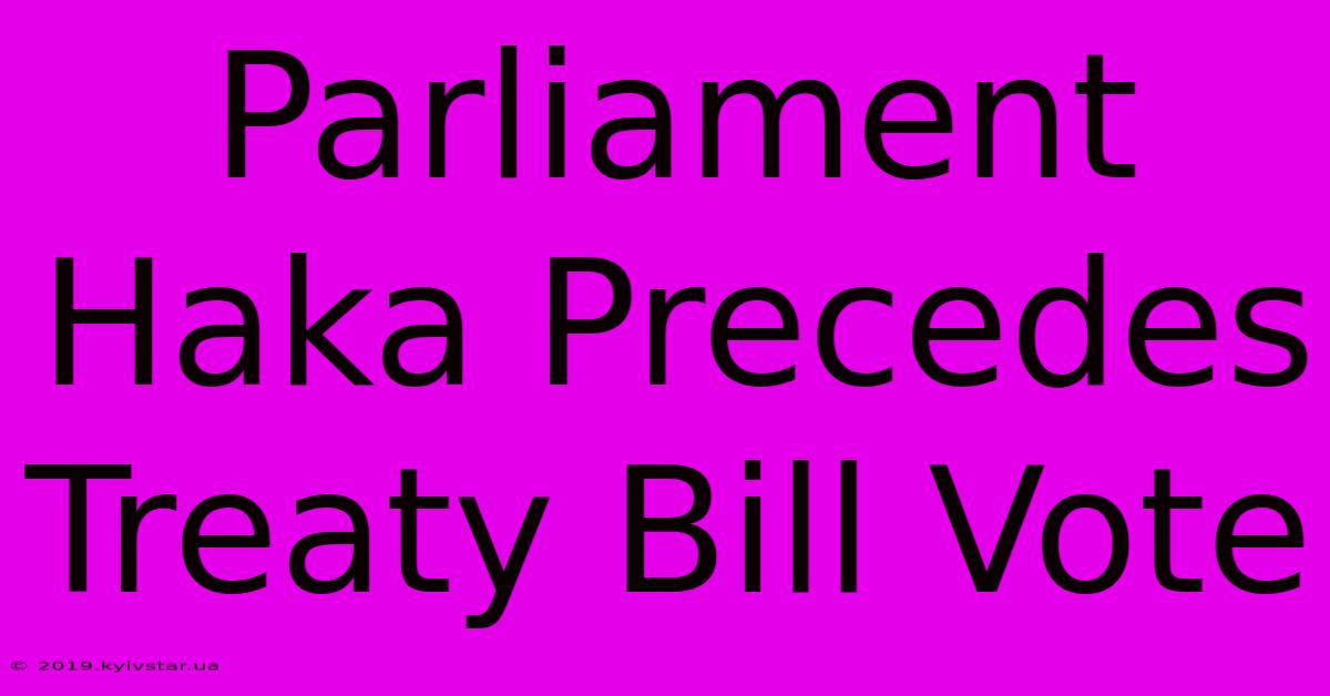 Parliament Haka Precedes Treaty Bill Vote