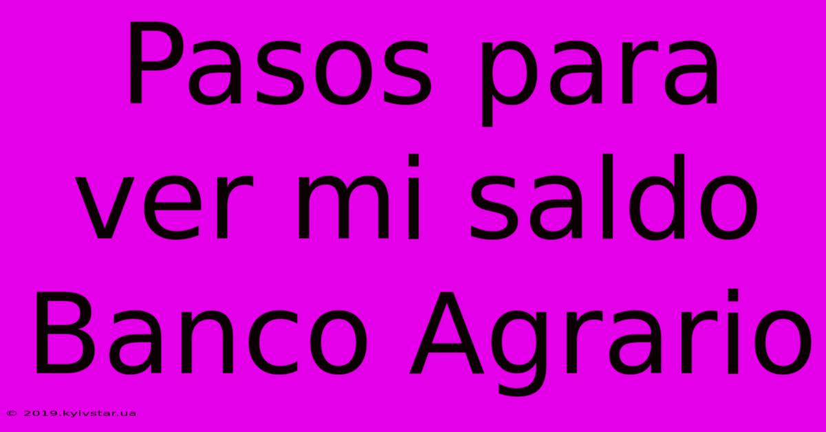 Pasos Para Ver Mi Saldo Banco Agrario