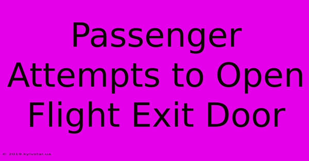 Passenger Attempts To Open Flight Exit Door