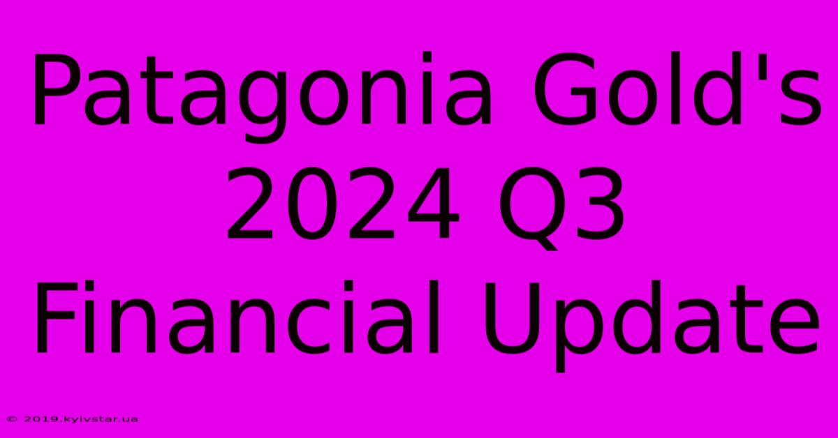 Patagonia Gold's 2024 Q3 Financial Update