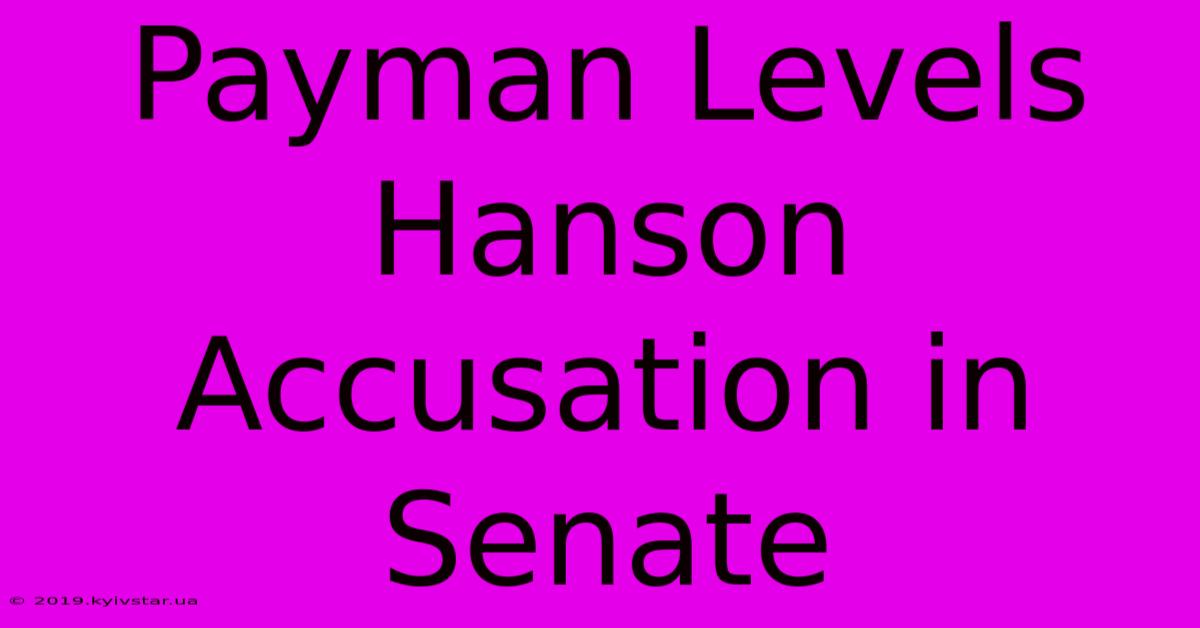 Payman Levels Hanson Accusation In Senate