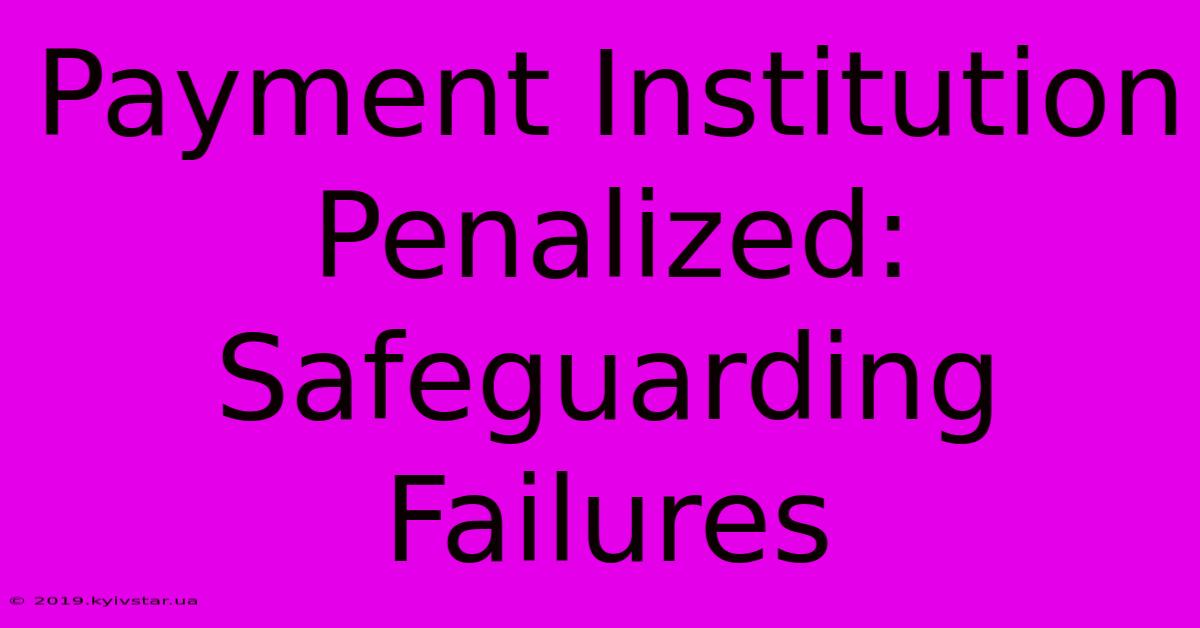 Payment Institution Penalized: Safeguarding Failures