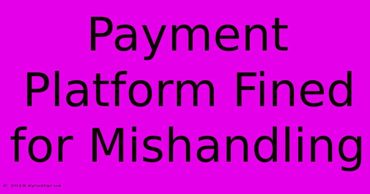 Payment Platform Fined For Mishandling