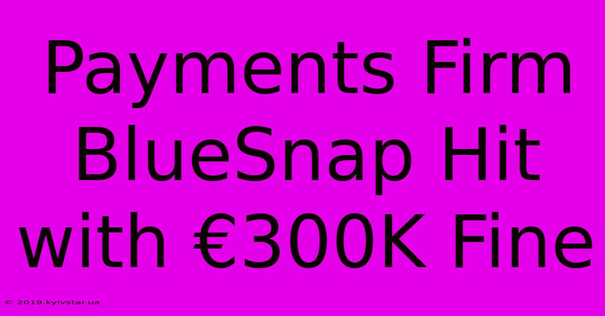 Payments Firm BlueSnap Hit With €300K Fine