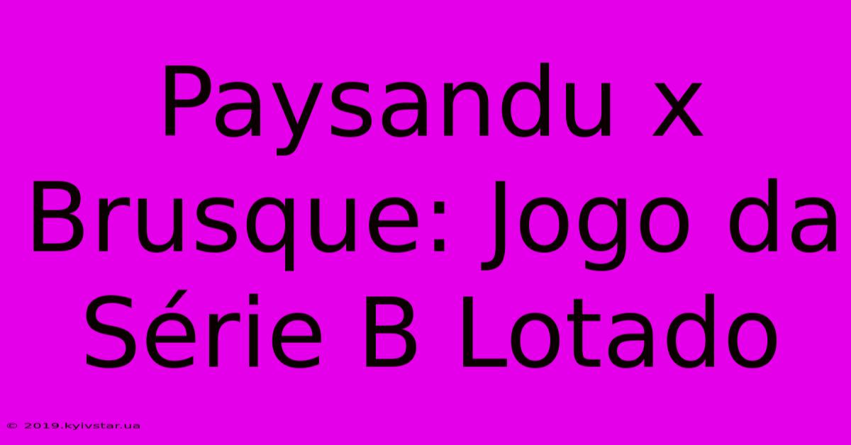 Paysandu X Brusque: Jogo Da Série B Lotado