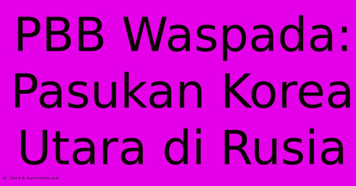 PBB Waspada: Pasukan Korea Utara Di Rusia