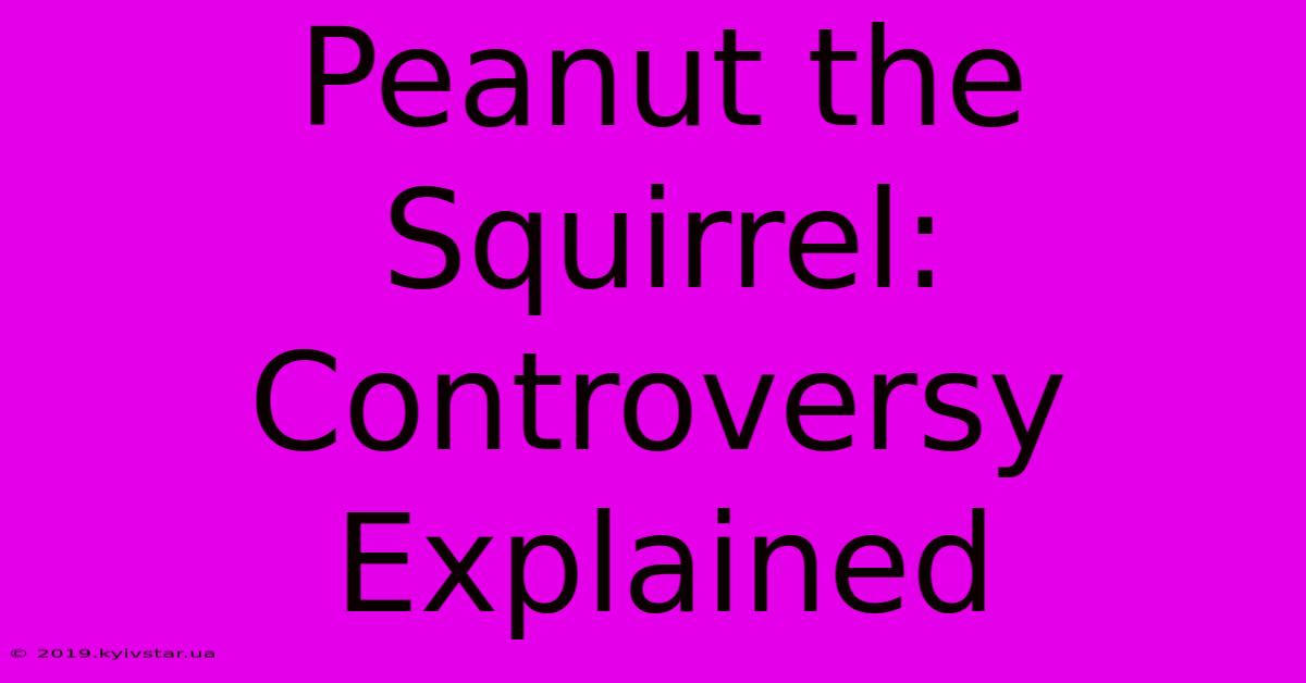 Peanut The Squirrel: Controversy Explained