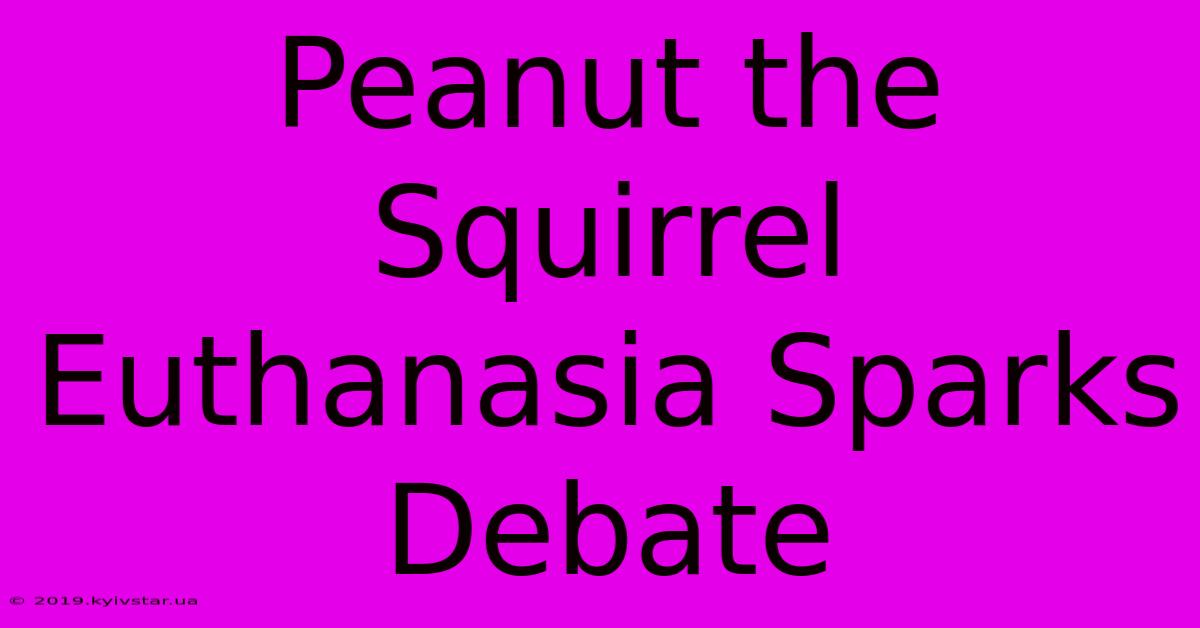 Peanut The Squirrel Euthanasia Sparks Debate