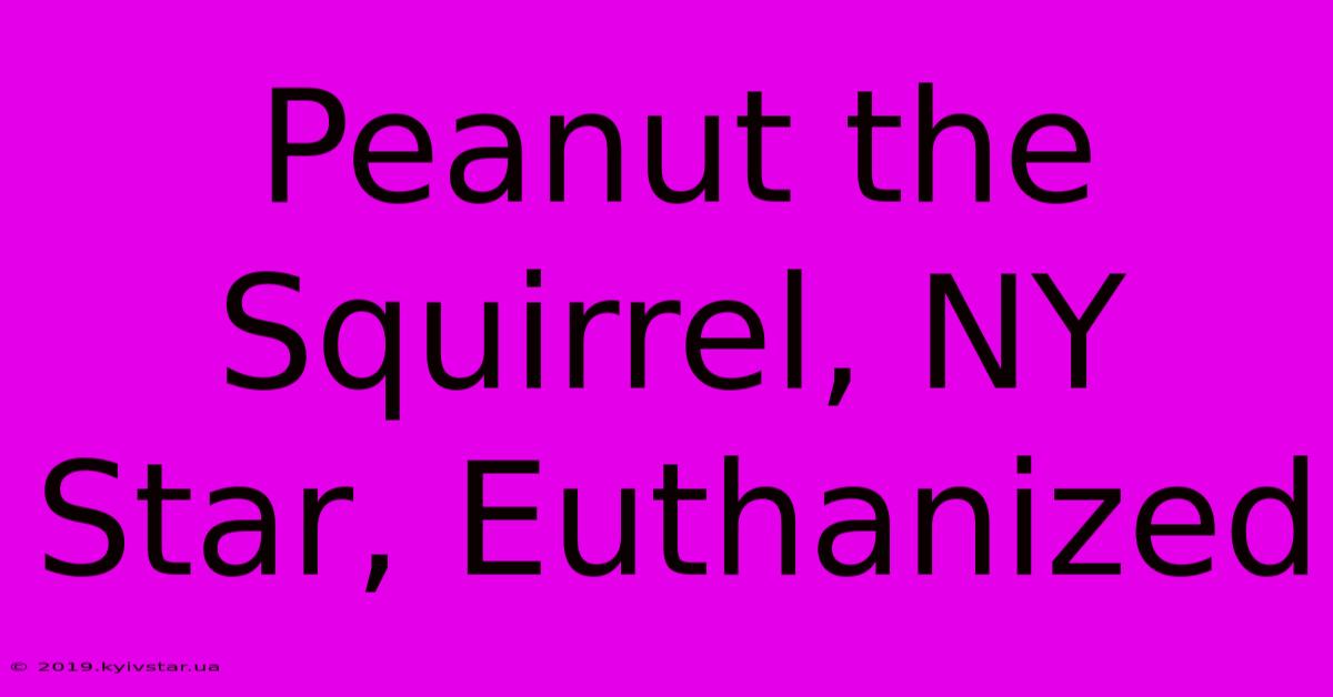 Peanut The Squirrel, NY Star, Euthanized