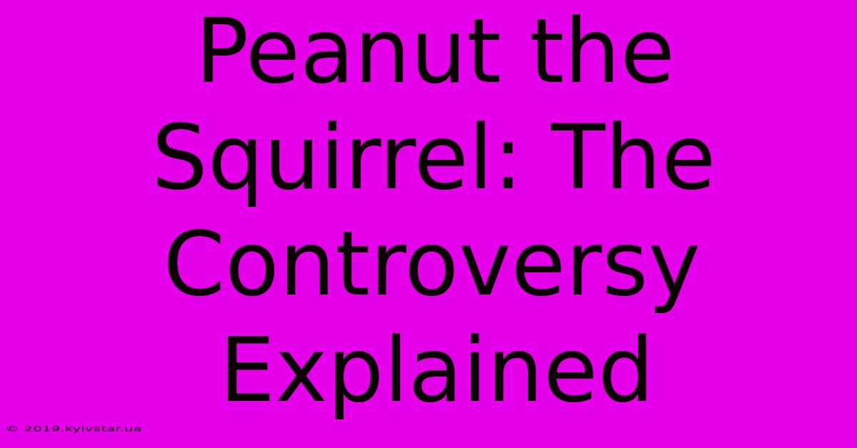 Peanut The Squirrel: The Controversy Explained 