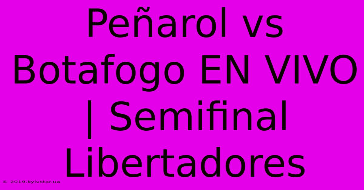 Peñarol Vs Botafogo EN VIVO | Semifinal Libertadores 