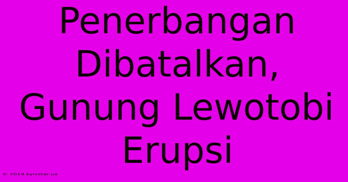 Penerbangan Dibatalkan, Gunung Lewotobi Erupsi