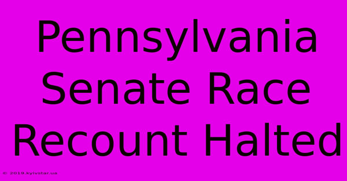 Pennsylvania Senate Race Recount Halted