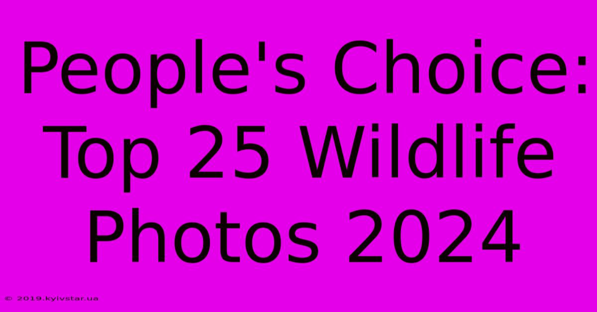 People's Choice: Top 25 Wildlife Photos 2024